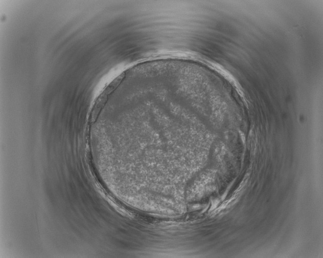 X0000060581373200512011722