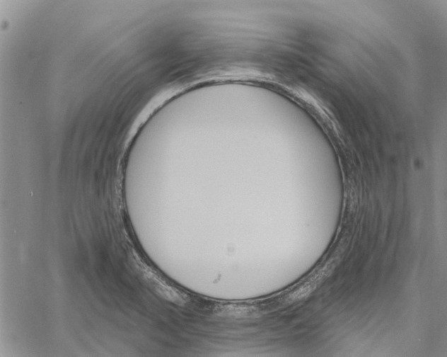 X0000060581374200512011722