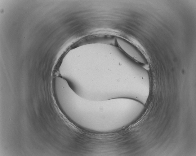 X0000060581376200512011722