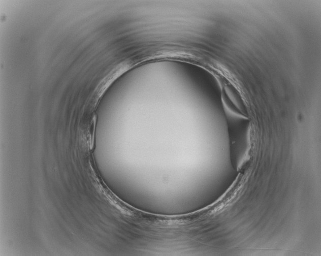 X0000060581377200512011722