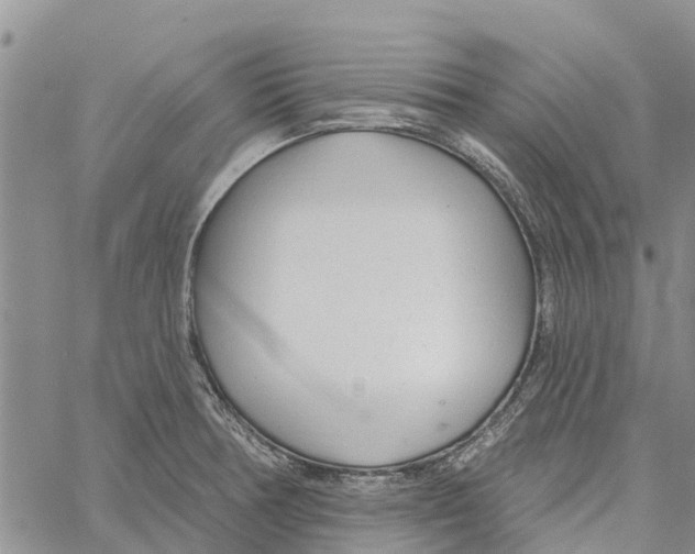 X0000060581378200512011722