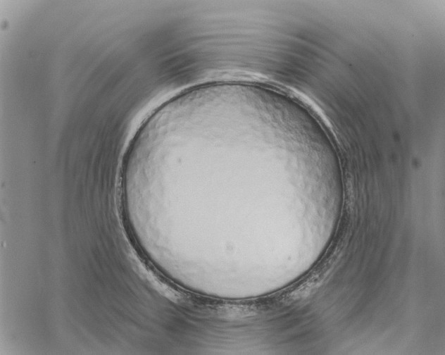 X0000060581379200512011722