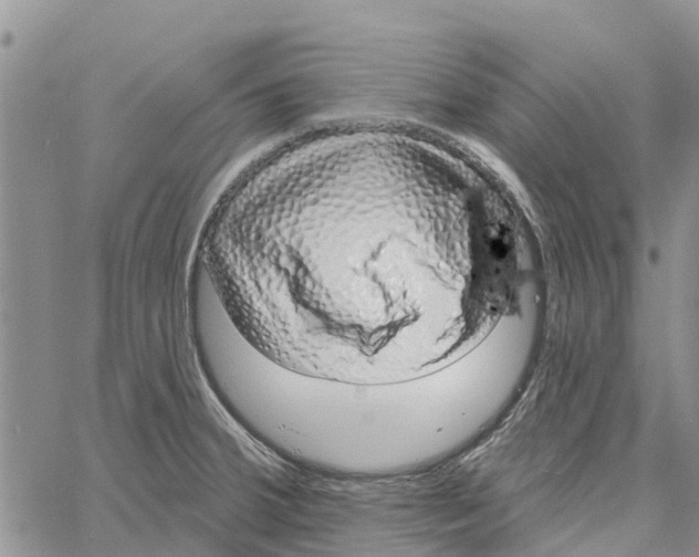 X0000060581380200512011722