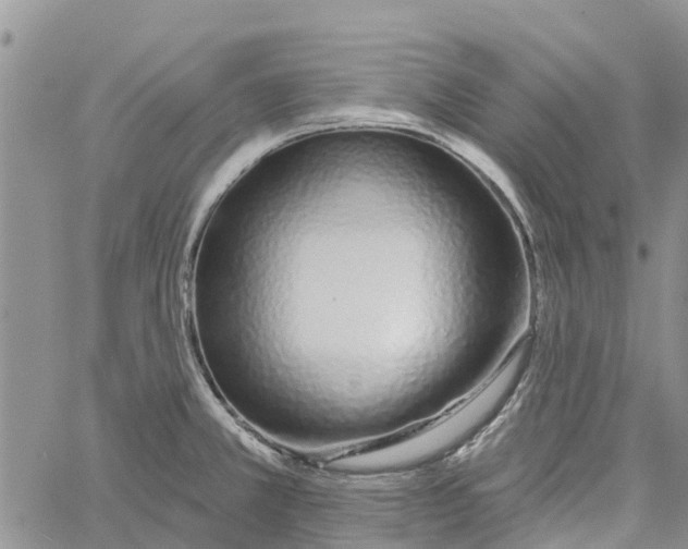 X0000060581381200512011722