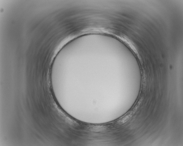 X0000060581382200512011722