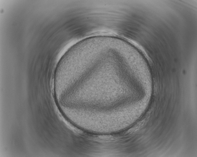 X0000060581383200512011722