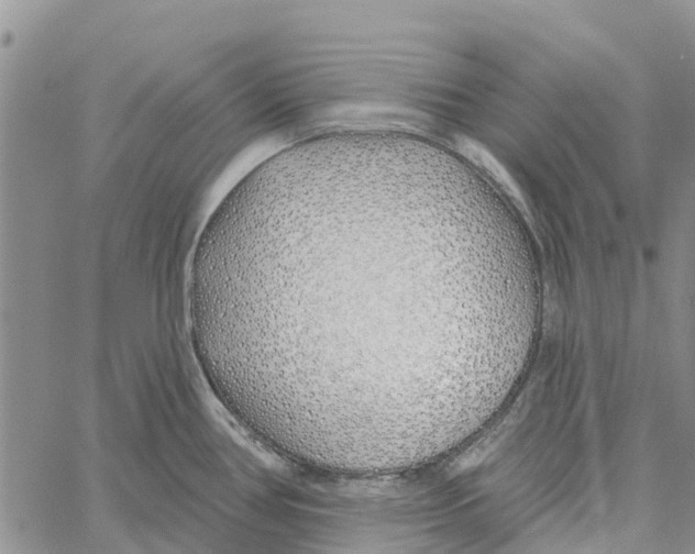 X0000060581386200512011722