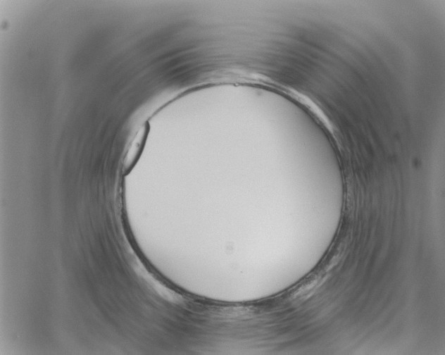 X0000060581387200512011722