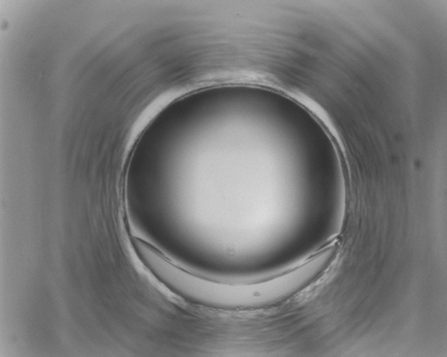 X0000060581389200512011722