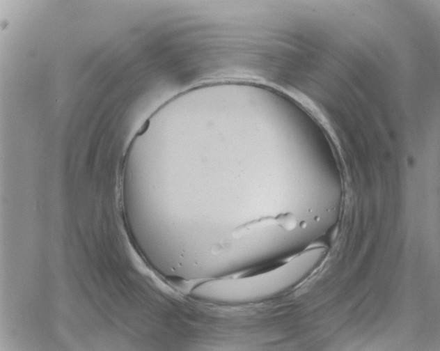 X0000060581390200512011722