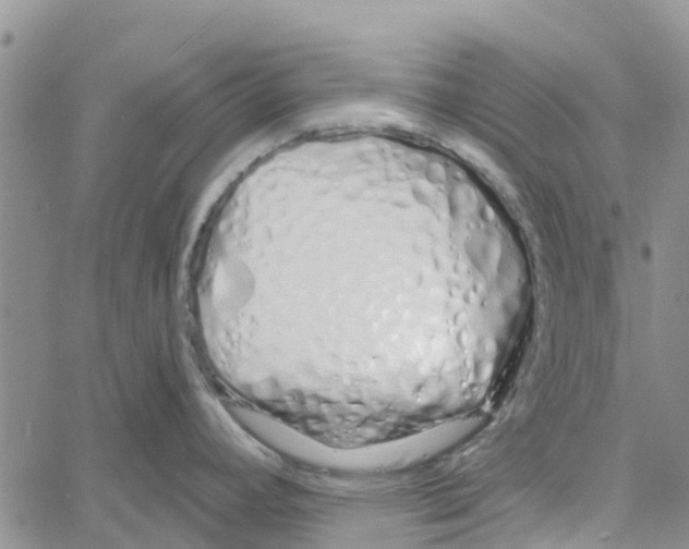 X0000060581392200512011722