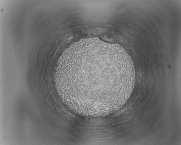 X0000060581393200512011721