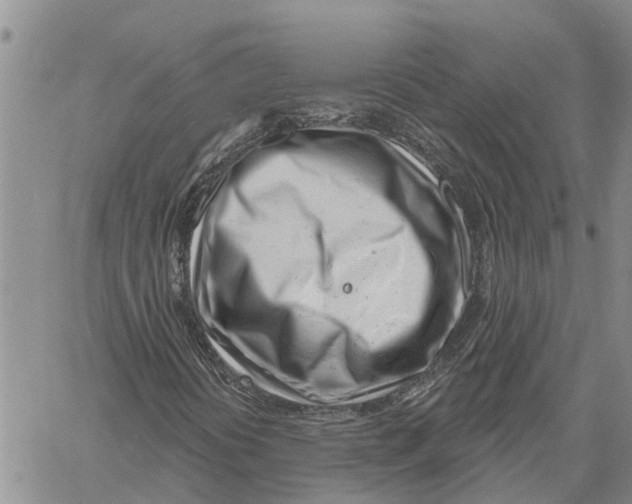 X0000060581394200512011721