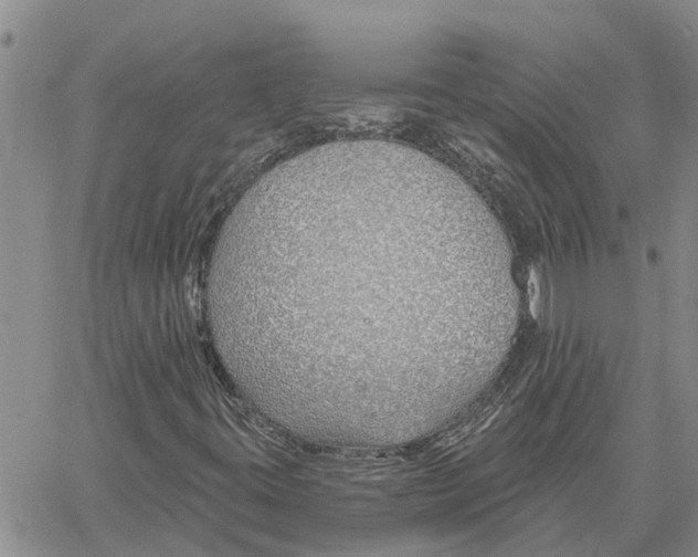 X0000060581395200512011721