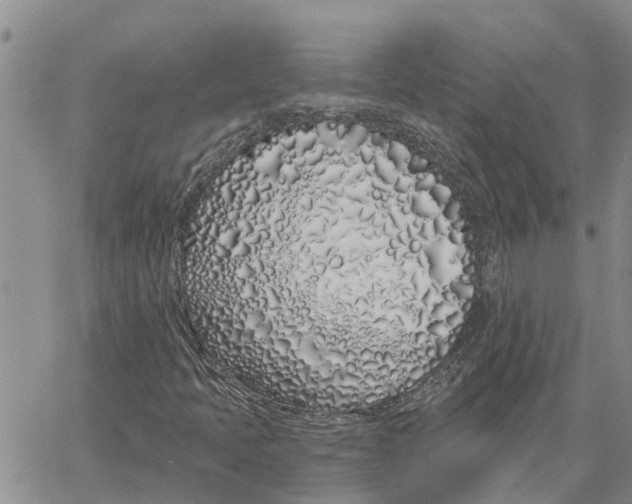 X0000060581397200512011721