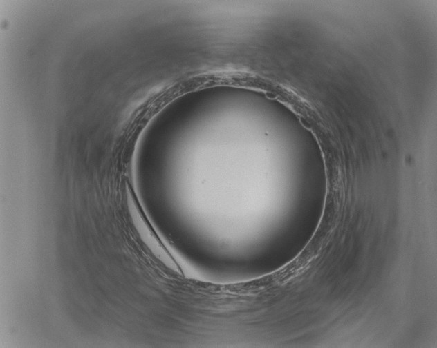 X0000060581398200512011721