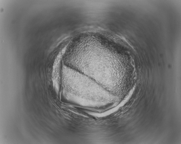 X0000060581399200512011721