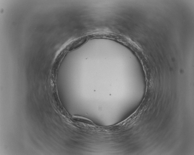 X0000060581400200512011721