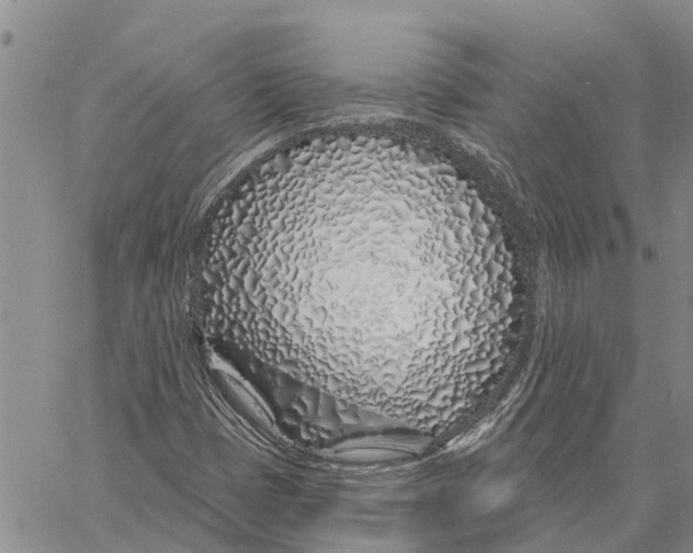 X0000060581401200512011721