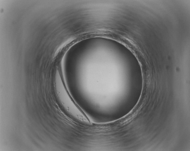 X0000060581402200512011721