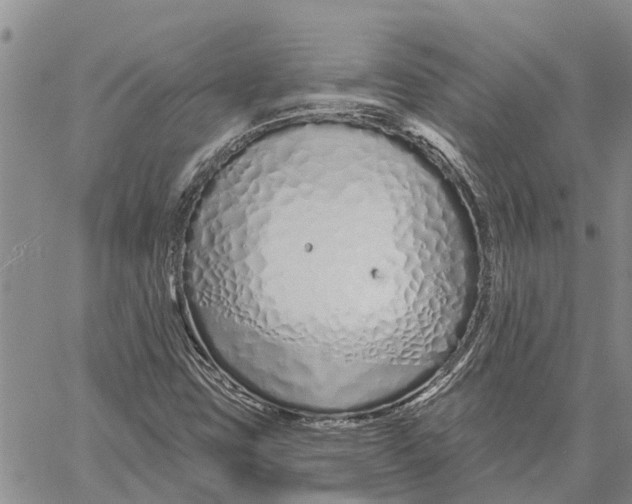 X0000060581403200512011721