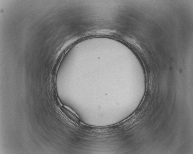 X0000060581404200512011721