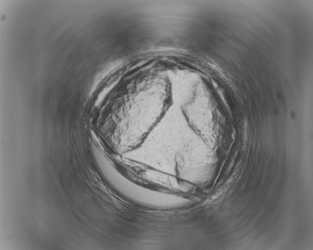 X0000060581405200512011721