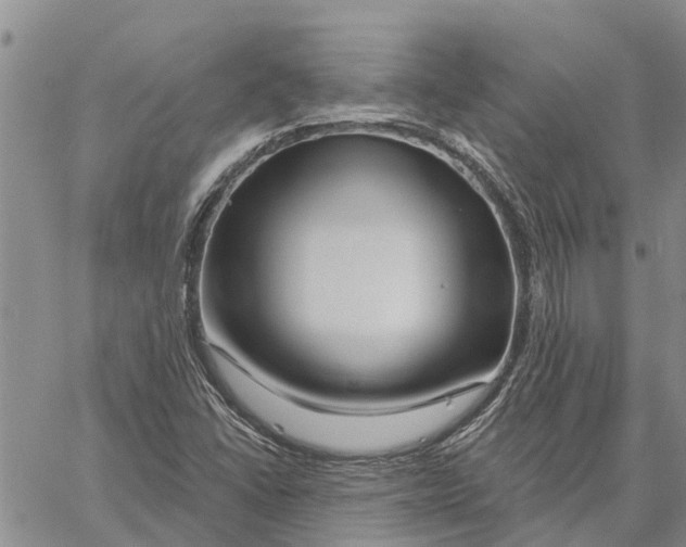 X0000060581406200512011721