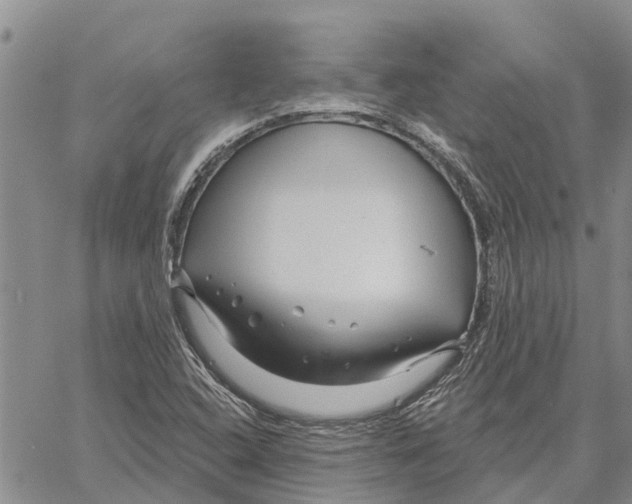 X0000060581408200512011721