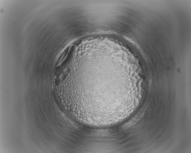 X0000060581409200512011721