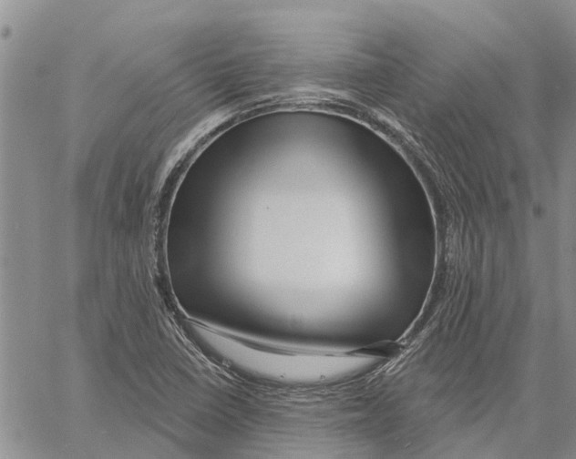 X0000060581410200512011721