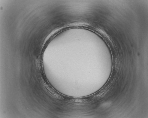 X0000060581412200512011721