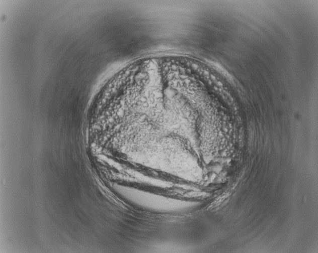 X0000060581413200512011721