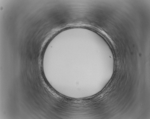 X0000060581416200512011721