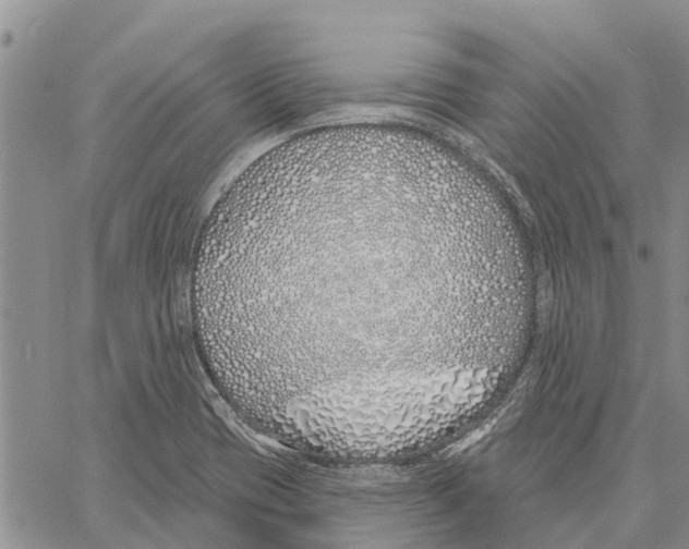 X0000060581417200512011721