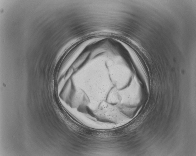 X0000060581418200512011721