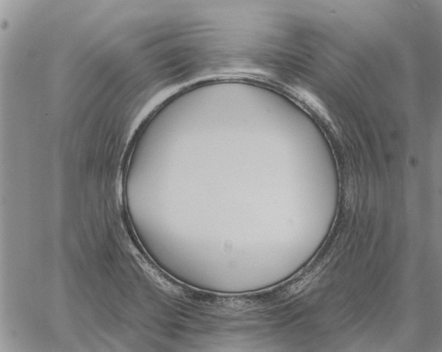 X0000060581420200512011721