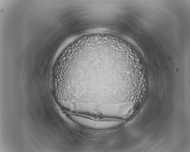 X0000060581421200512011721