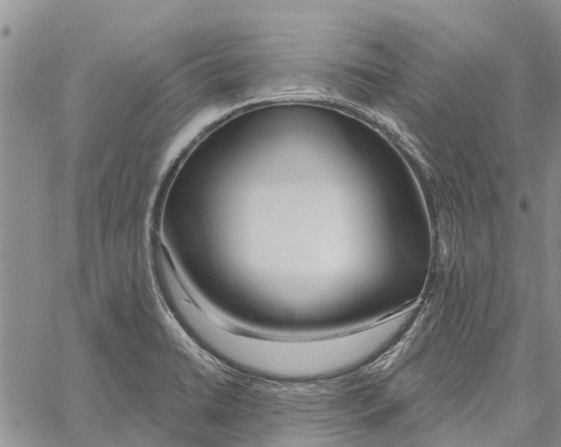 X0000060581422200512011721