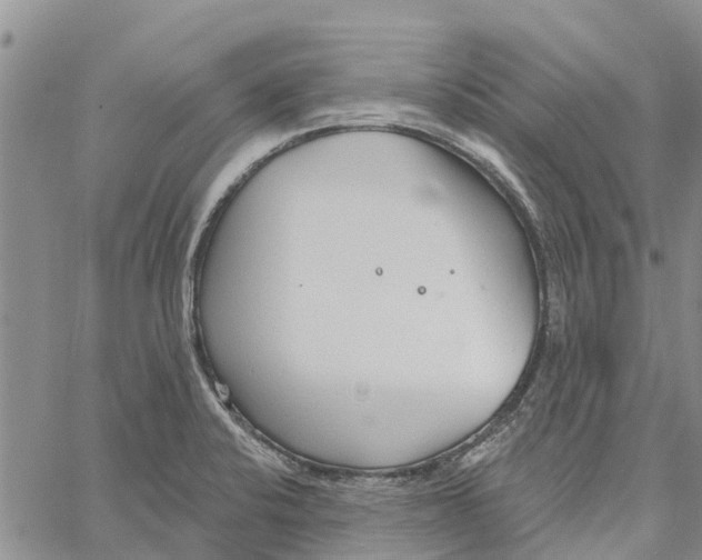 X0000060581424200512011721