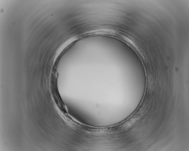 X0000060581426200512011721