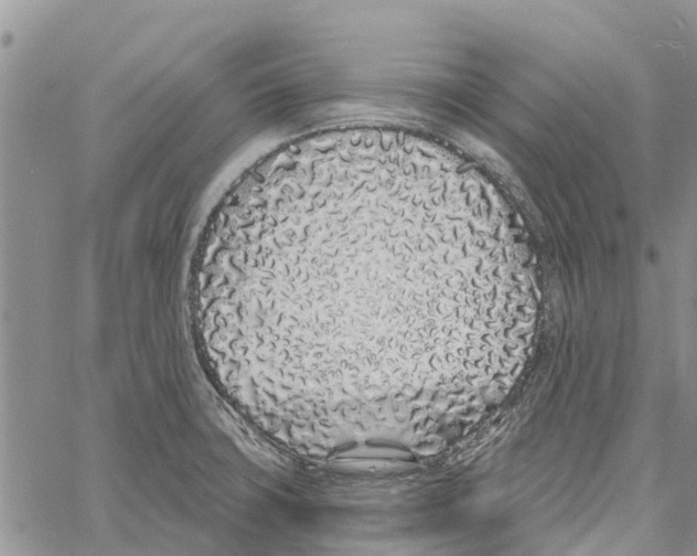 X0000060581427200512011721