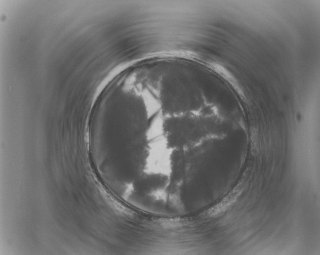 X0000060581428200512011721