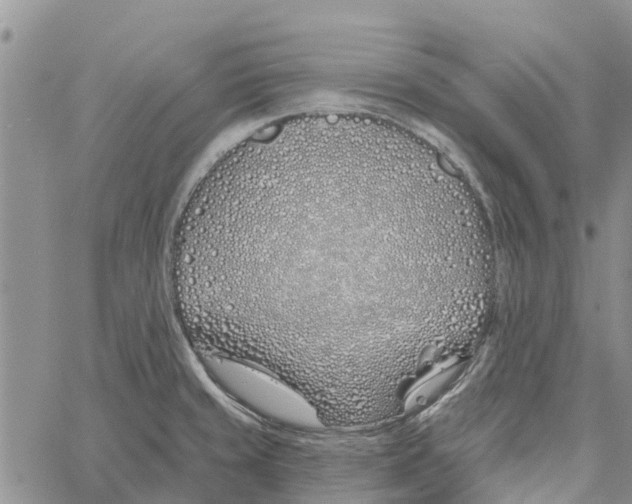 X0000060581429200512011721