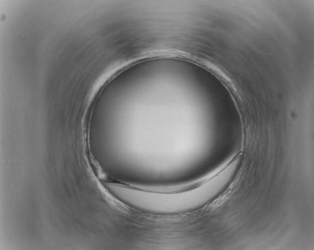 X0000060581430200512011721