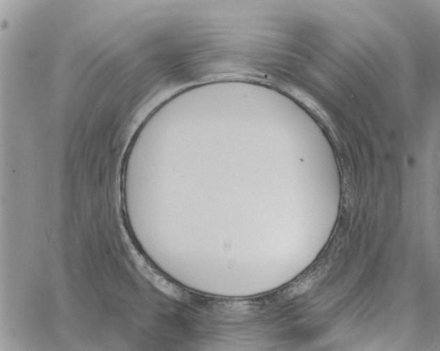 X0000060581431200512011721