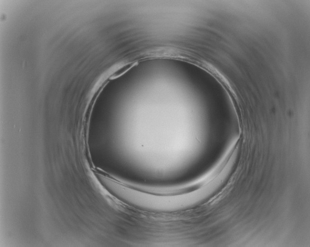 X0000060581434200512011722