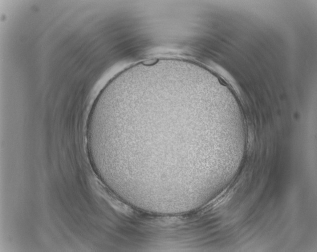 X0000060581435200512011722