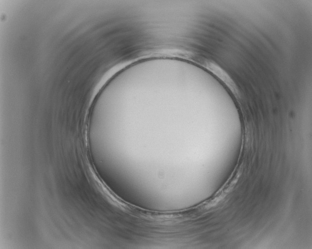 X0000060581436200512011722