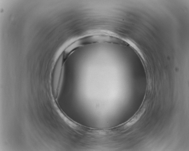 X0000060581438200512011722